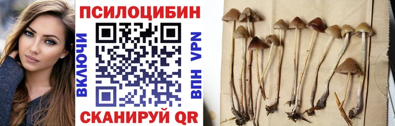 сайты даркнета клад  где найти наркотики  Сергач  Псилоцибиновые грибы GOLDEN TEACHER 